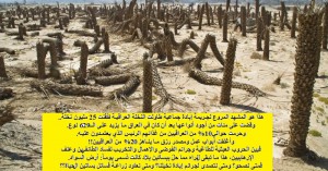 NEKHLAH333